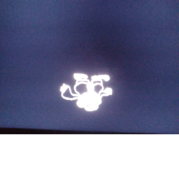 TEmp uhh run