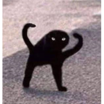 Random Roblox_group