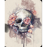 Shop Skull