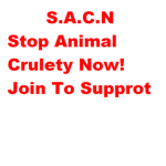 S.A.C.N (Stop Animal Cruelty Now)