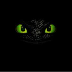 Night Fury Productions
