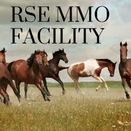 Rising Sunflowers Mustang Makeover 	Facility