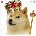 DOGES UNITED True