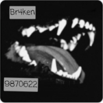Br4ken