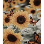 XflowerH