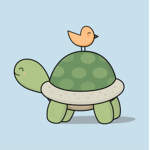 I Like turtle group