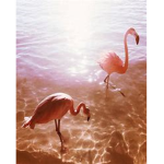 ~ Flamingo Fans ~