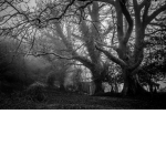 th3_sanctuary
