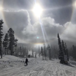 morgu e