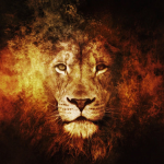 The Arain Pride