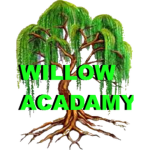 Willow Acadamy SCHOOL OF CODE