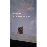 Kitty cats kitty cat