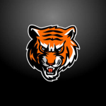 Fern Middle School