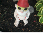 Gnomsies