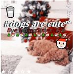 #DOGS ARE CUTE