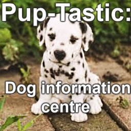 Pup-Tastic: Dog information centre
