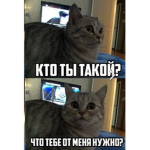 Серый даня и аня