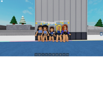 The Moonlights Gymnastics Team