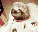 Astro Sloth Fans