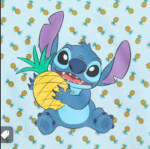 STICH GROUP FOR FUN