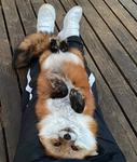 luna:D