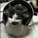 Kitty_world :D