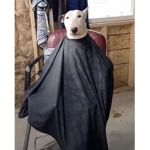 Fresh Dog