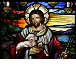 Roman Catholic Church .