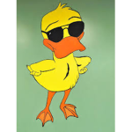 DUCKY gangsters