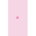 Angels_Halos