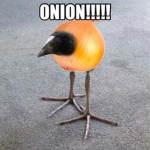 pollo army