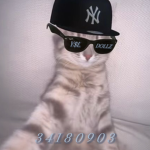 Y$L DOLLZ