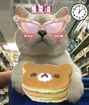 Cute Cats~