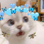 KOTE_NIKI