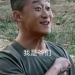 yoko家族