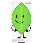 Bfb fan group have fun