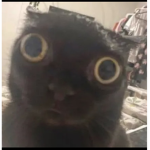 JalaBean