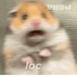 HL.loc