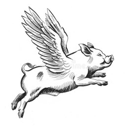 Fig Pig Arena!