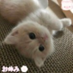 ♡