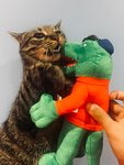 cat fantastic