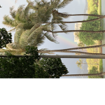 Hawaii Hotels!