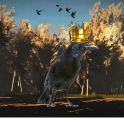 *Home of the crows*