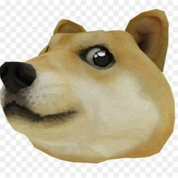 protect doge from zombies