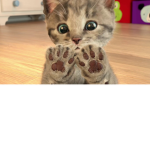 Meow_kittiez_Meow