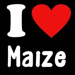 Maize Playground icon