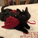 entomb3d