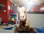 Blue giraffe club
