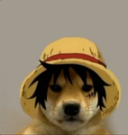 Blox fruit dog