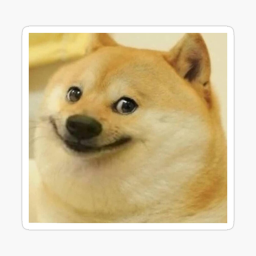 Survive The Killer Doge